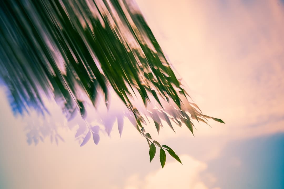 科幻阅读产业保持增长态势，我国科幻创作正迎来黄金期